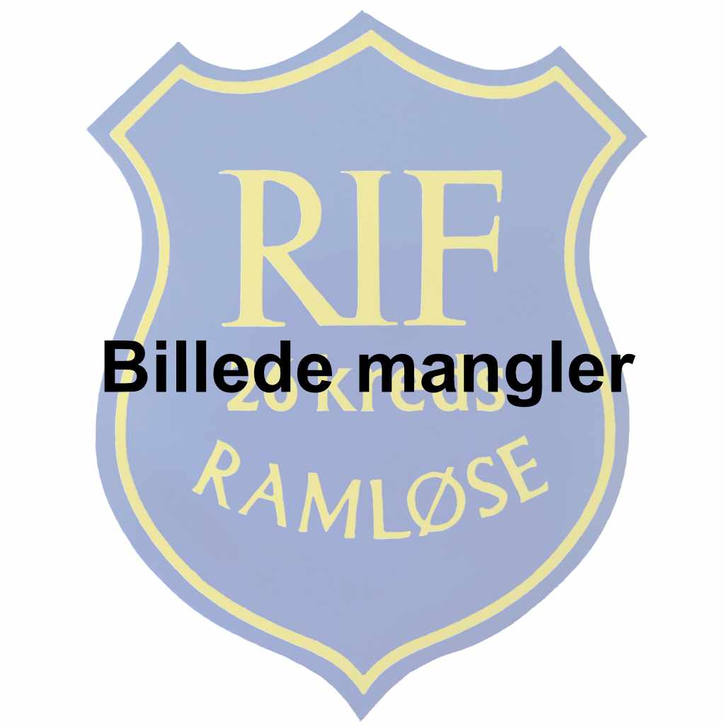 dsc00125 logo i farve